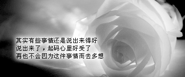 写字,听雪,爱一个人。如此而已