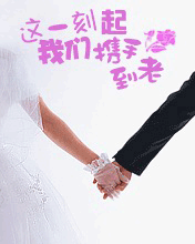 　　轩哥