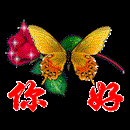 花蝴蝶☆冰訫☆
