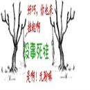 ◆型男 ゛①号゛