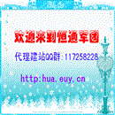 dnswz.net唯一