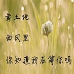 　　　　　　　　花哥　　　