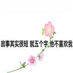 我揽不住要走的风